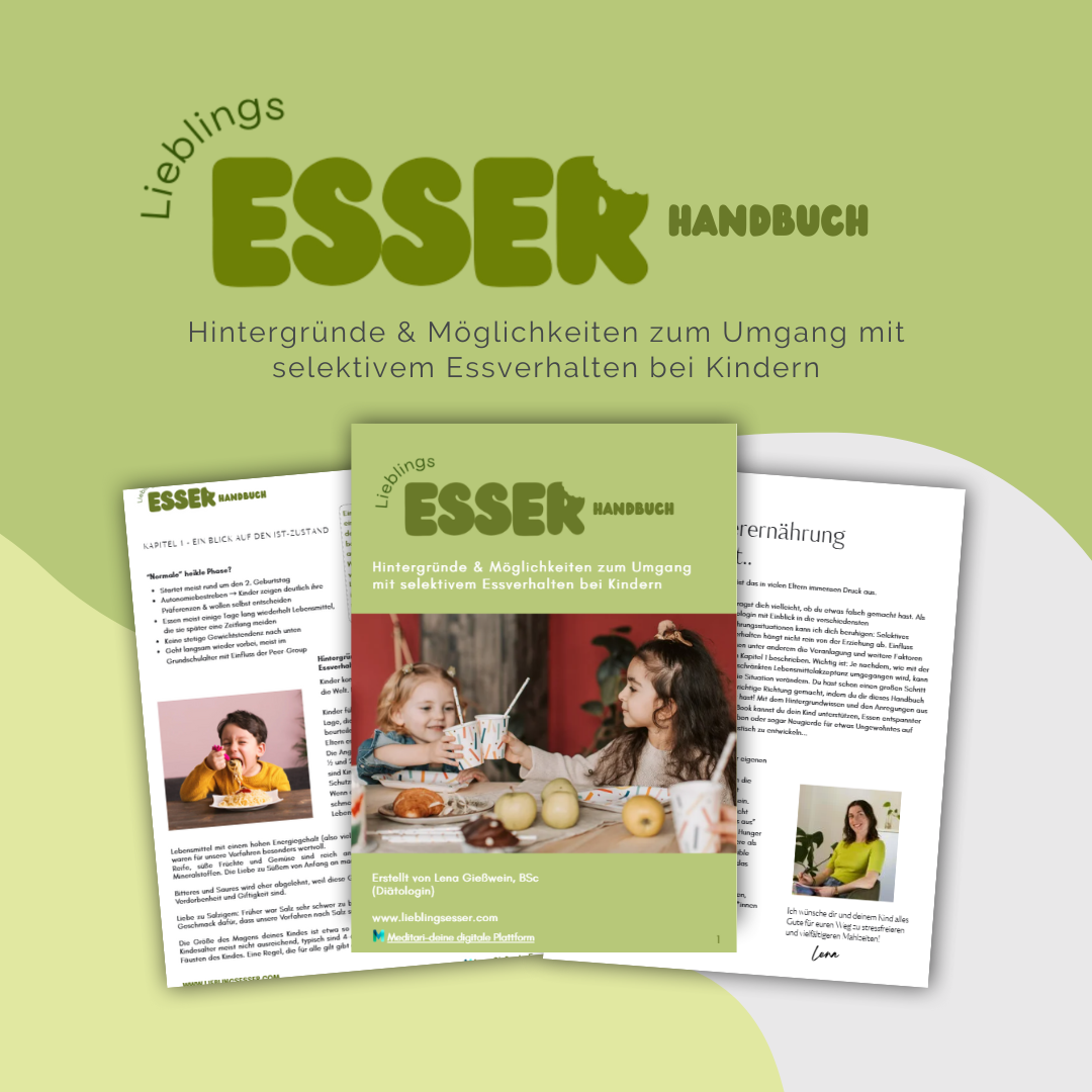 E-Book für Eltern: Strategien und Übungen bei wählerischem Essverhalten von Kindern – Lieblingsesser-Handbuch von Lena Gießwein.