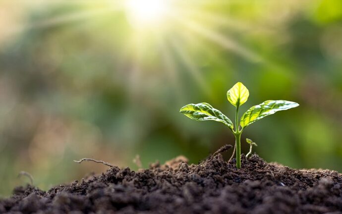 NLP steht für Neuro-Linguistisches Programmieren. Es handelt sich um ein lösungsorientiertes Kommunikations- und Motivationsmodell. Dieses hilft Ihnen dabei, Einschränkungen in Ihrem Leben zu überwinden und sich von Ängsten und ungewollten Gewohnheiten zu befreien.